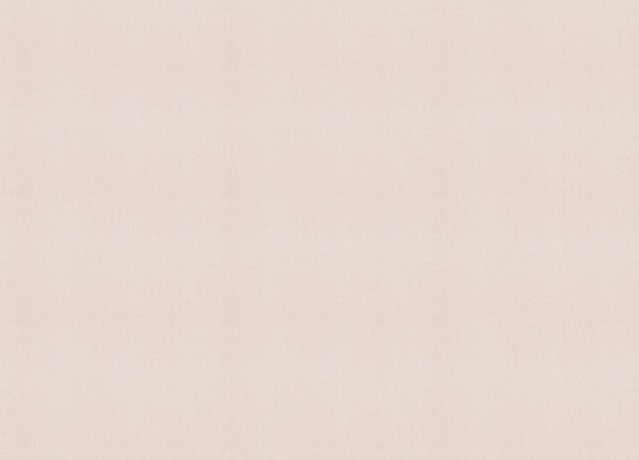 990294 Обои Rasch (Unitex) (1*6) 10,05x1,06 винил на флизелине