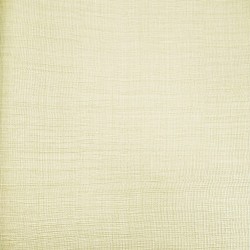 Обои Z21838 Zambaiti Trussardi V 0.7x10.05